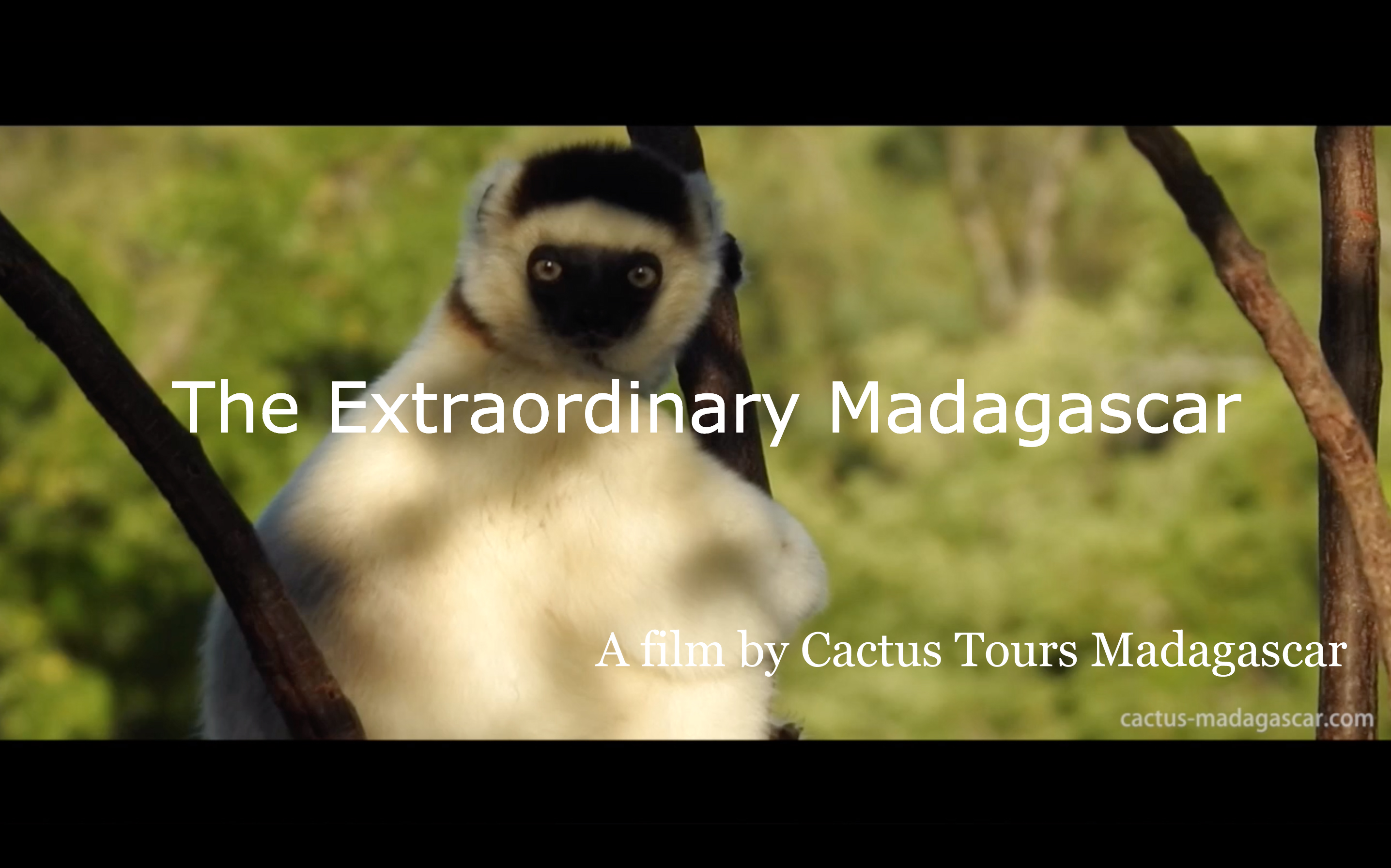 The Extraordinary Madagascar – video