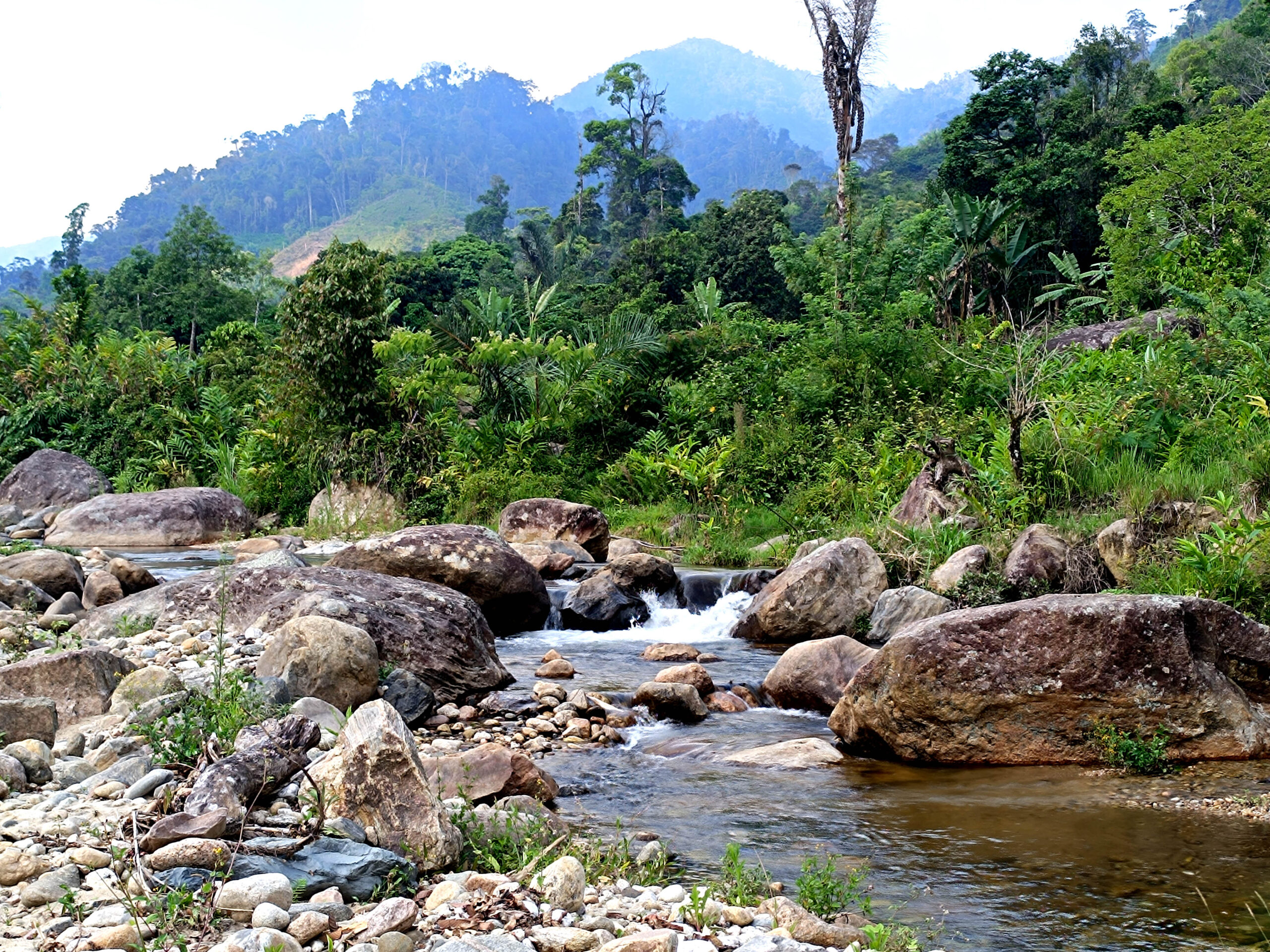 Destination Madagascar: Towards the Diversification of Tourism